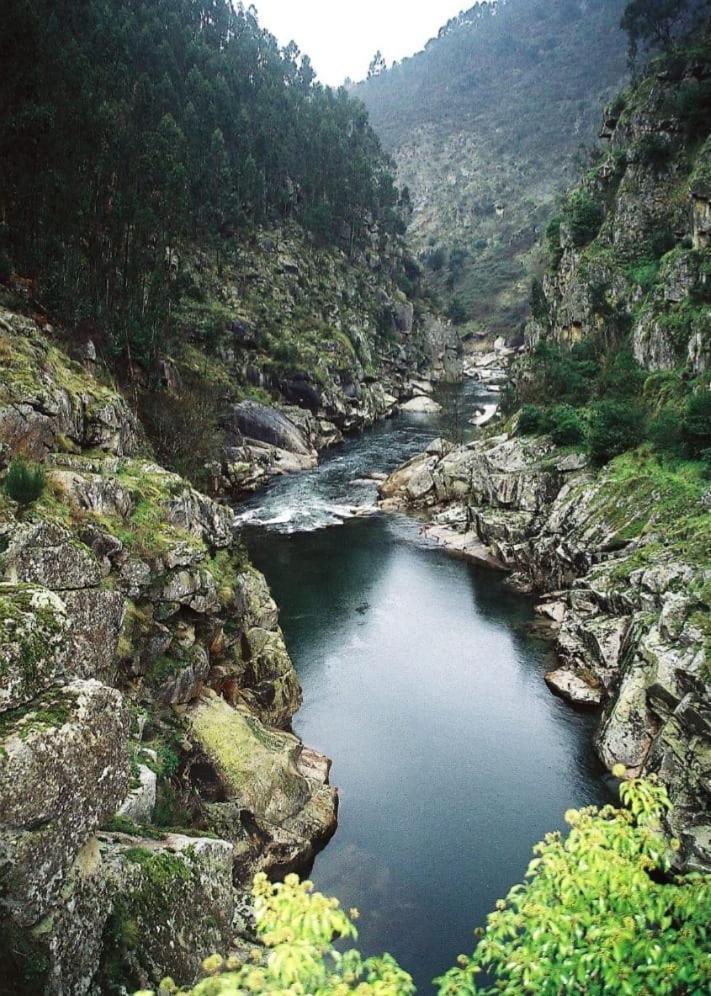 Crasto Payva Douro Nature Каштелу-де-Пайва Екстер'єр фото